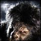 Wolfman : photo Benicio Del Toro, Joe Johnston