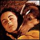 Le Courage de Lassie : photo Elizabeth Taylor, Fred M. Wilcox