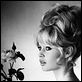 photo Brigitte Bardot