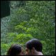 Wackness : photo Jonathan Levine, Josh Peck, Olivia Thirlby