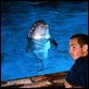 Le Grand bleu : photo Jean-Marc Barr, Luc Besson