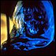 Creepshow : photo George A. Romero