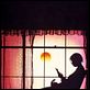 La Couleur pourpre : photo Danny Glover, Steven Spielberg, Whoopi Goldberg