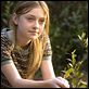Le Secret de Lily Owens : photo Dakota Fanning, Gina Prince-Bythewood