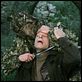Les Enfants d'Orion