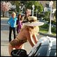 Desperate Housewives : photo