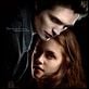 Twilight - Chapitre 1 : fascination : affiche Catherine Hardwicke, Kristen Stewart, Robert Pattinson, Stephenie Meyer