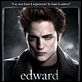 Twilight - Chapitre 1 : fascination : affiche Catherine Hardwicke, Robert Pattinson, Stephenie Meyer