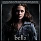 Twilight - Chapitre 1 : fascination : affiche Catherine Hardwicke, Kristen Stewart, Stephenie Meyer