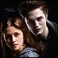 Twilight - Chapitre 1 : fascination : affiche Catherine Hardwicke, Kristen Stewart, Robert Pattinson, Stephenie Meyer