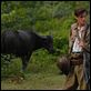Un barrage contre le Pacifique : photo Gaspard Ulliel, Rithy Panh