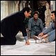 Un sacré bordel ! : photo Blake Edwards, Howie Mandel, Paul Sorvino, Ted Danson