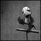 Mary et Max. : photo Adam Elliot