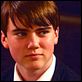 An American Affair : photo Cameron Bright, William Olsson