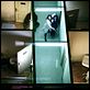 [MULTI] Human Zoo [DVD-R] [PAL]