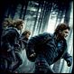 Harry Potter et les reliques de la mort - partie 1 : affiche David Yates