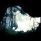 [MULTI] [DVDRiP] Antichrist