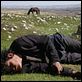 [multi] L'Enfant-cheval [DVDRiP]