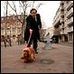 Bambou : photo Anne Consigny, Didier Bourdon