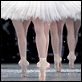 La Danse, le ballet de l'Opéra de Paris : photo Frederick Wiseman