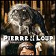 Affiche - FILM - Pierre et le loup : 144383