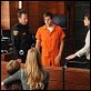 The Good Wife