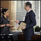 The Good Wife