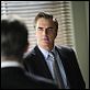 The Good Wife