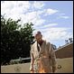 Breaking Bad