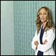 Grey's Anatomy : photo Kim Raver