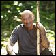 Lost, les disparus