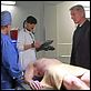 NCIS : Enquêtes spéciales : photo David McCallum, Mark Harmon, Pauley Perrette