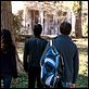 Vampire Diaries