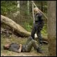 Terra Nova - Saison 1 Terra Nova - Saison 1