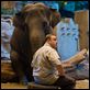 Zookeeper : photo Frank Coraci, Kevin James