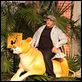 Zookeeper : photo Frank Coraci, Kevin James