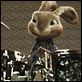 Hop : photo Tim Hill