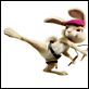 Hop : photo Tim Hill