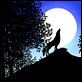 Les Contes de la nuit : photo Michel Ocelot