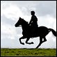 Cheval de guerre : photo Celine Buckens, Steven Spielberg