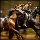 Cheval de guerre : photo Celine Buckens, Steven Spielberg