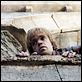 http://images.allocine.fr/c_80_80/b_1_x/medias/nmedia/18/84/05/31/19752526.jpg