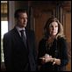 Suits Saison 1