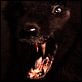 [MULTI] Monsterwolf [Blu-Ray 720p l VOSTFR]