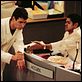 H : photo Jamel Debbouze, Philippe Spiteri