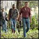 Chiens de paille : photo Alexander Skarsgård