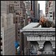 Dos au mur : photo Elizabeth Banks, Jamie Bell