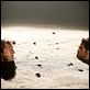 Sur la piste du Marsupilami : photo Alain Chabat, Jamel Debbouze