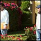 Jack et Julie : photo Adam Sandler, Dennis Dugan