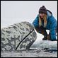 Miracle en Alaska : photo Drew Barrymore